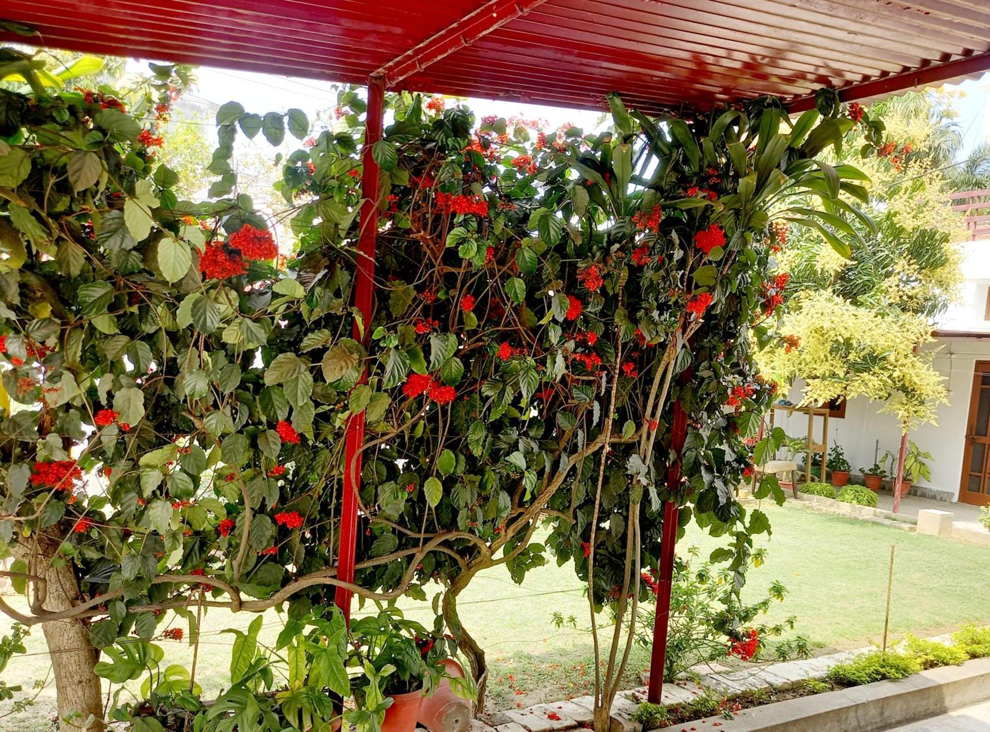 Bed and Breakfast Garden View Residency Lucknow Zewnętrze zdjęcie